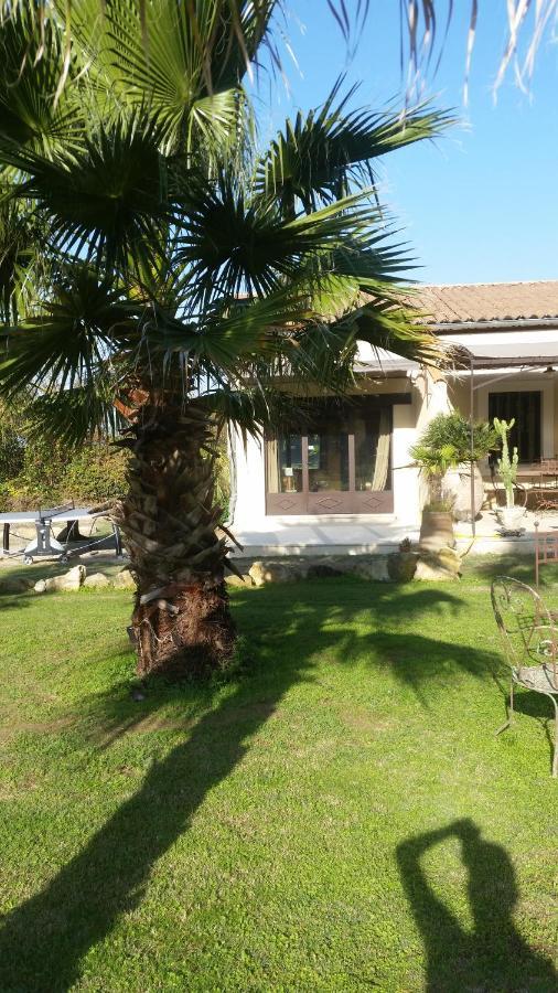 Bed and Breakfast Provence Carpentras Exterior foto