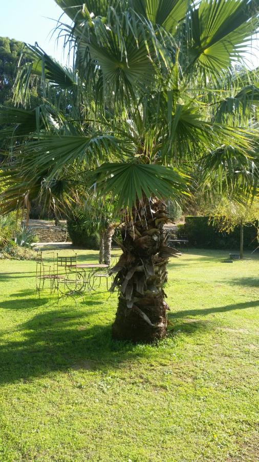 Bed and Breakfast Provence Carpentras Exterior foto